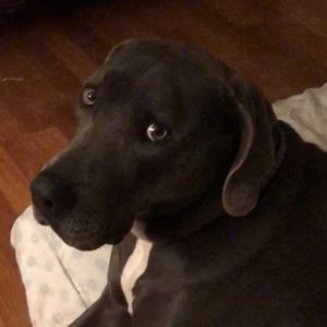 Meet your Posher, Kelley